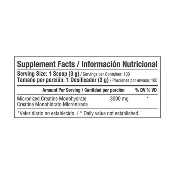 Creatina Micronizada 3000 x100 Servicios | Healthy Sports - VitalSport - Image 2